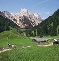 Bindalm